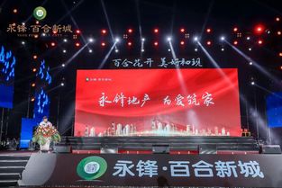 永锋 百合新城产品发布会暨庞龙演唱会成功举办,启幕武城