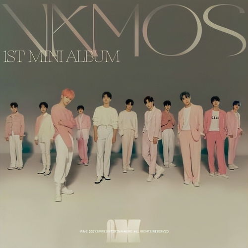 经纪公司再陷争议漩涡 强迫确诊成员演出与职场霸凌的警示